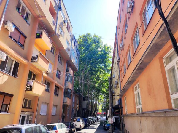 Izvor: Foto Niš TV