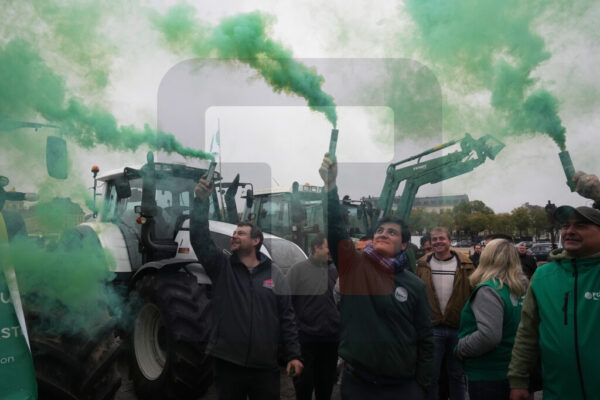 Izvor: Foto Tanjug