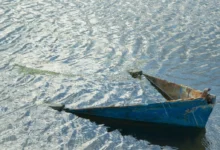 Izvor: Foto Tanjug