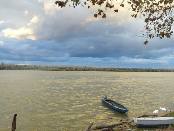 Izvor: Foto Tanjug