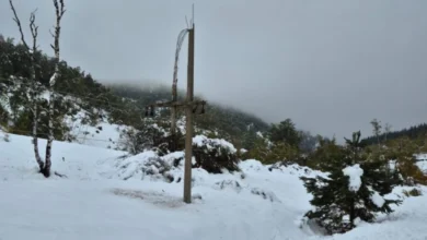 Izvor: Foto Tanjug