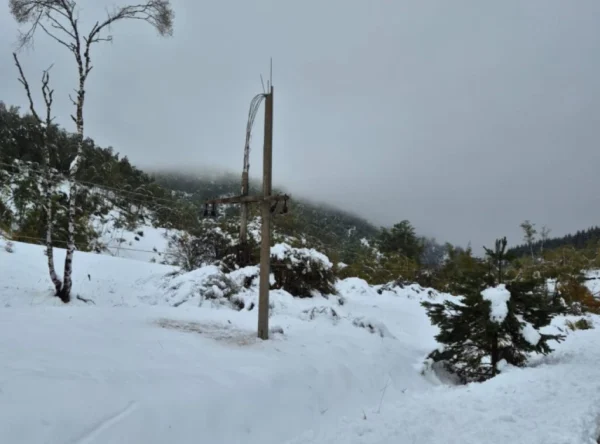 Izvor: Foto Tanjug