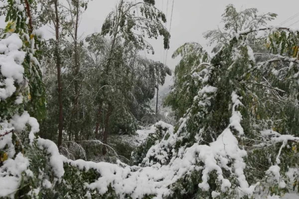 Izvor: Foto Tanjug