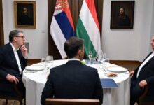 Izvor: Foto Instagram/buducnostsrbijeav