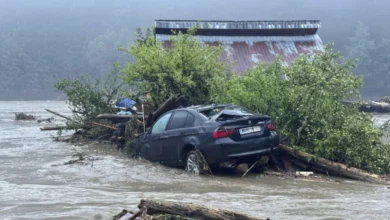 Izvor: Foto Tanjug