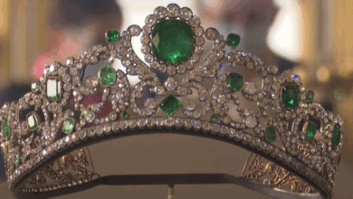 Izvor: Foto Screenshot Niš TV