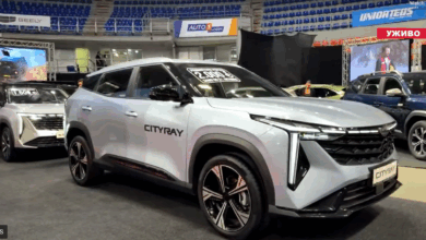 Izvor: Foto Screenshot Niš TV