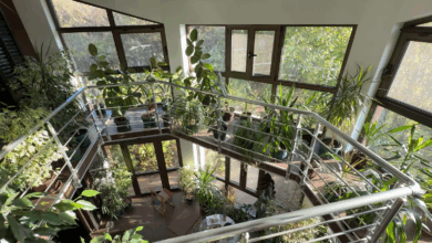 Izvor:Foto Screenshot Niš TV