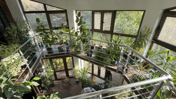 Izvor:Foto Screenshot Niš TV