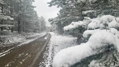 Izvor: Foto Alo