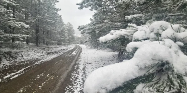 Izvor: Foto Alo