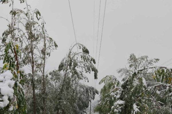 Izvor: Foto Tanjug