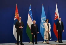 Izvor: Foto Instagram buducnostsrbijeav