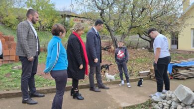 Izvor: Foto Grad Niš