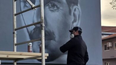 Izvor: Foto Radna akcija Dečikski Vis