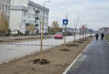 Izvor: Foto Grad Niš