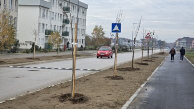 Izvor: Foto Grad Niš