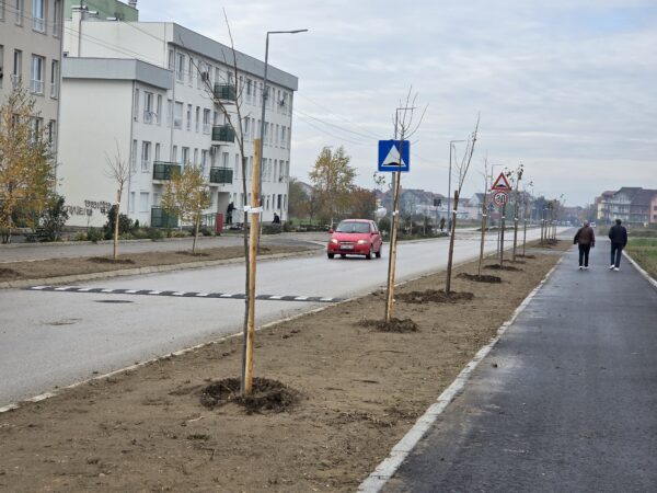 Izvor: Foto Grad Niš