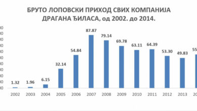 Izvor: Foto prinscreen Alo
