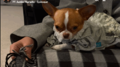 Izvor: Foto Društvene mreže