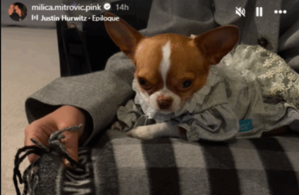 Izvor: Foto Društvene mreže