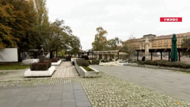 Izvor: Screenshot Niš TV