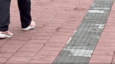 Izvor: Foto Screenshot Niš TV