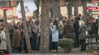 Izvor: Foto Screenshot Niš TV