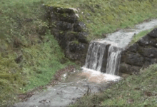 Izvor: Foto Screenshot Niš TV