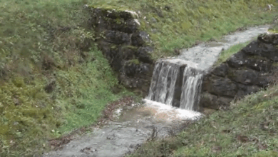 Izvor: Foto Screenshot Niš TV