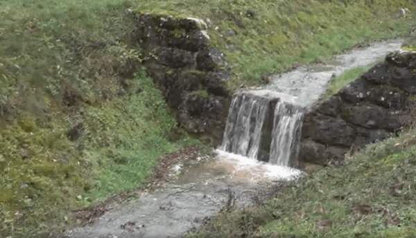 Izvor: Foto Screenshot Niš TV