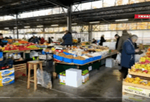 Izvor: Foto Screenshot Niš TV