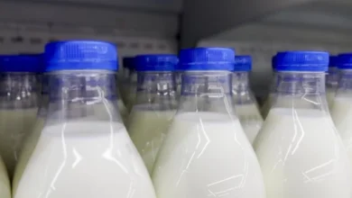 Izvor: Foto Informer