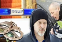 Izvor: Foto Informer Shutterstock, Mup Srbije