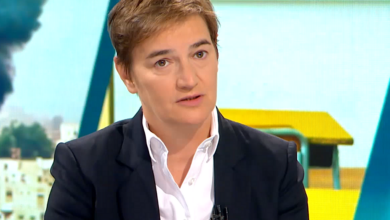 Izvor: Foto Niš TV/printscreen Društvena mreža X