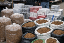 Izvor: Foto Niš TV/Ilustracija ChatGpt