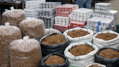 Izvor: Foto Niš TV/Ilustracija ChatGpt