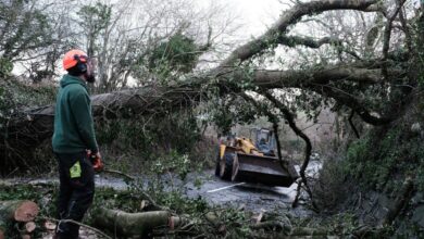 Izvor: Foto Informer