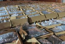 Izvor: Foto Kurir MUP Srbije