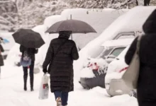 Izvor: Foto Informer/Tanjug