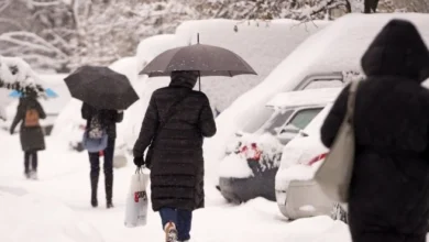 Izvor: Foto Informer/Tanjug