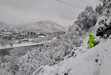 Izvor: Foto Blic/Tanjug/EDBSrbije