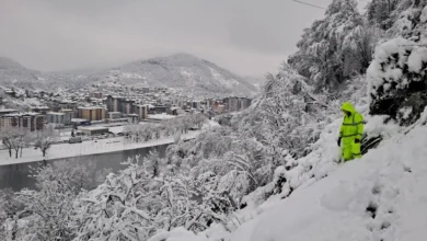 Izvor: Foto Blic/Tanjug/EDBSrbije