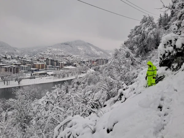 Izvor: Foto Blic/Tanjug/EDBSrbije