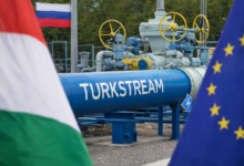 Izvor: Foto Niš TV/ Ilustracija ChatGpt