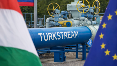 Izvor: Foto Niš TV/ Ilustracija ChatGpt