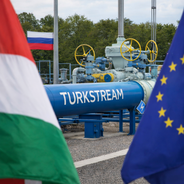 Izvor: Foto Niš TV/ Ilustracija ChatGpt