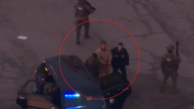 Izvor: Foto Alo/ printscreen X