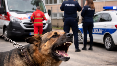 Izvor: Foto Niš TV/Ilustracija ChatGpt