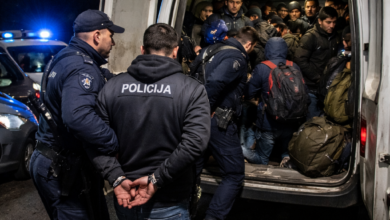 Izvor: Foto Niš TV/ Ilustracija ChatGpt